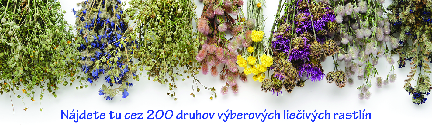 Byliny
